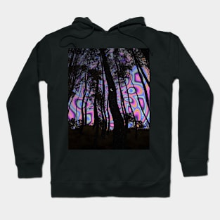 Immersion Hoodie